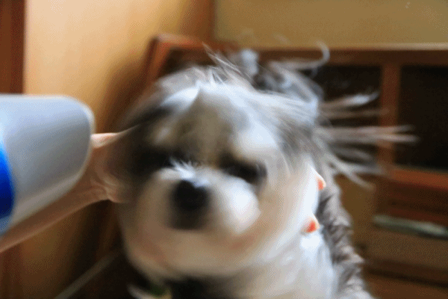 c0145250_14255145.gif