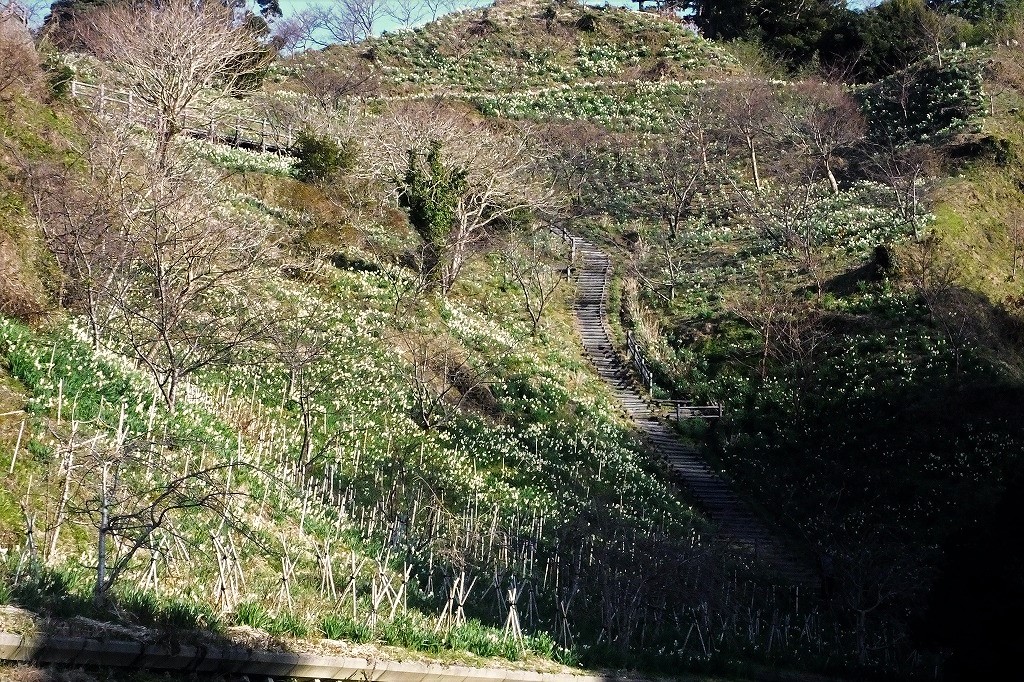 b0236251_14375599.jpg