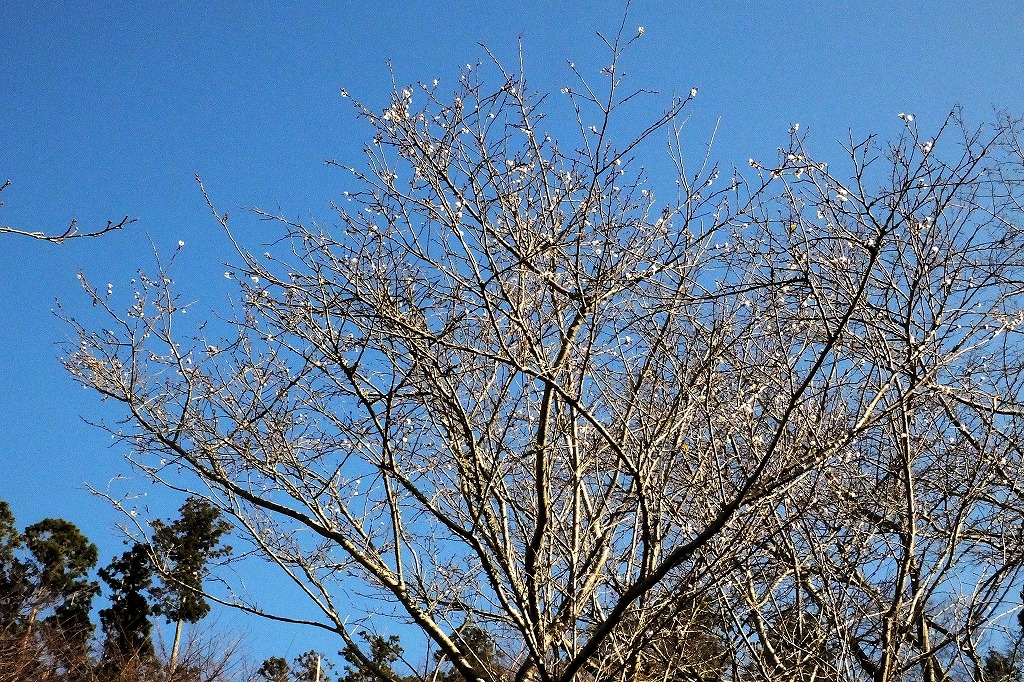 b0236251_14465071.jpg