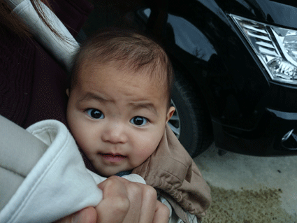 b0129758_1535435.gif