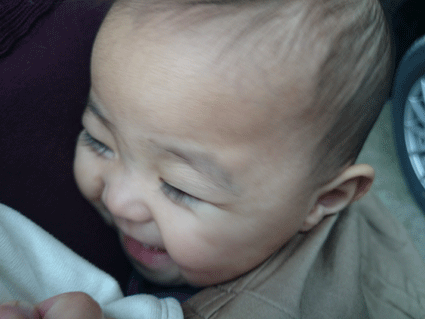 b0129758_15354640.gif