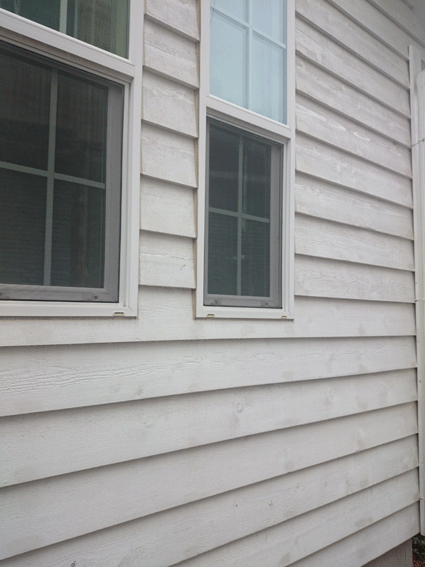 b0129758_16422045.gif