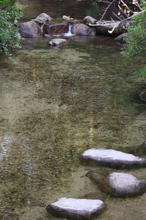 2017年もよろしくお願い致します。_a0193460_11461314.jpg
