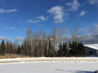 c0242063_136331.jpg