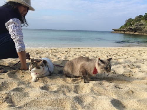 Beach day._c0153966_22125512.jpeg