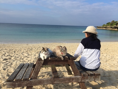 Beach day._c0153966_22175266.jpeg