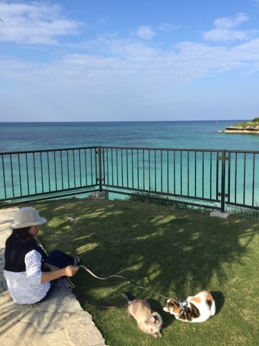 Beach day._c0153966_22220391.jpeg