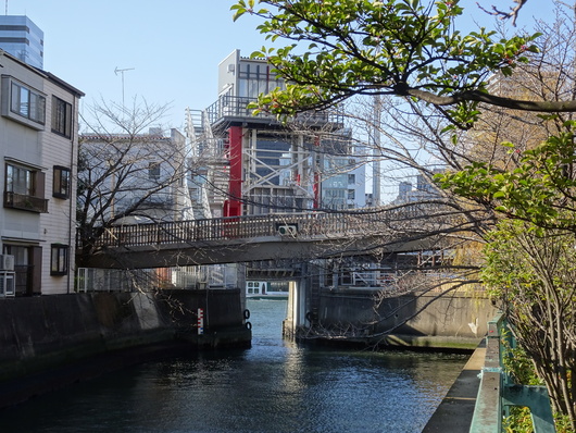 d0193569_8354486.jpg