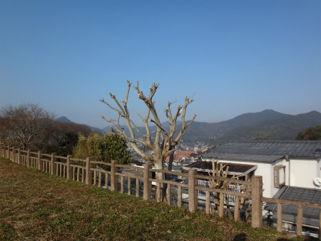 d0182075_04162129.jpg