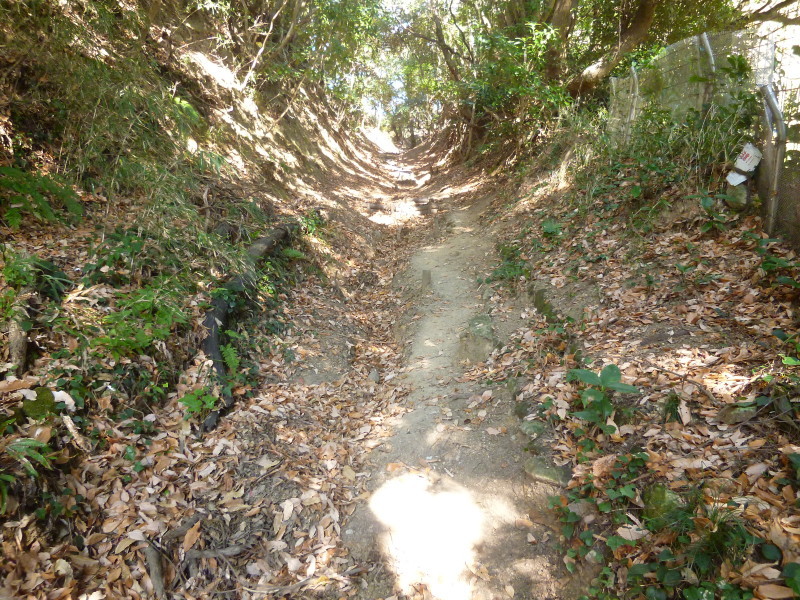 f0351775_10023114.jpg
