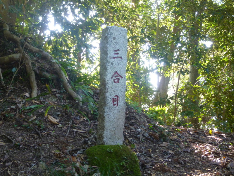 ★里見八犬伝の舞台「富山」★_f0351775_10214107.jpg