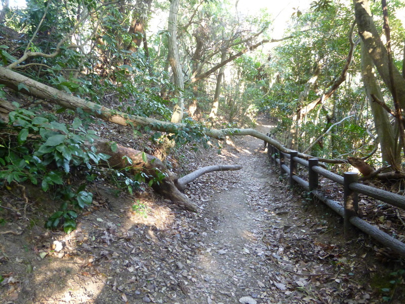 ★里見八犬伝の舞台「富山」★_f0351775_10232641.jpg