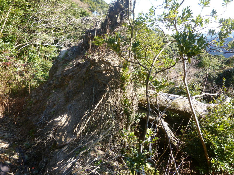 ★里見八犬伝の舞台「富山」★_f0351775_10271489.jpg