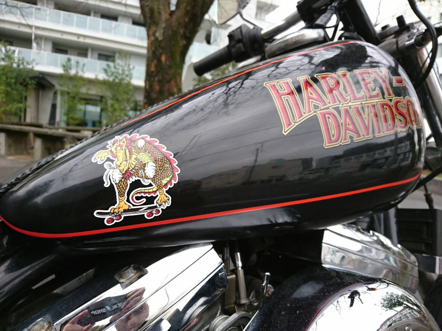 e0267476_20045870.jpg