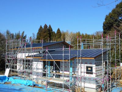d0162979_12352881.jpg