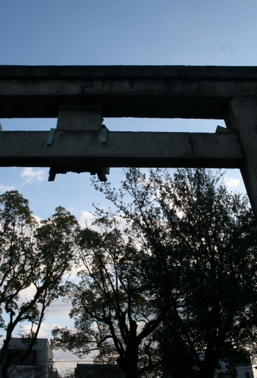 a0165483_11421661.jpg