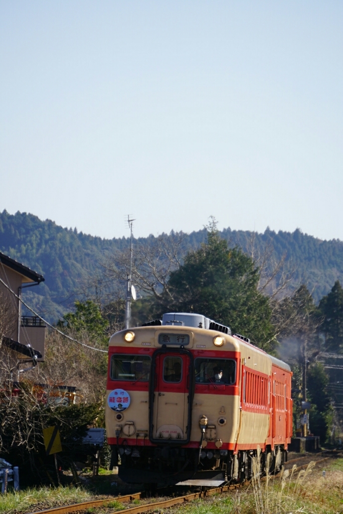 d0341483_20390840.jpg