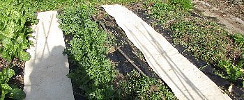 f0003283_13142003.jpg