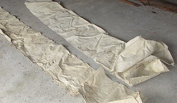 f0003283_13142487.jpg