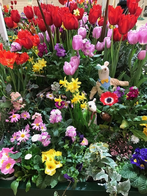 f0204295_15424960.jpg
