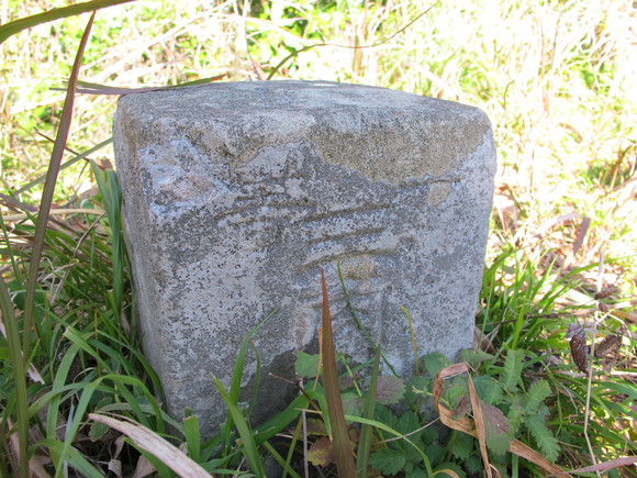 a0166196_1114489.jpg