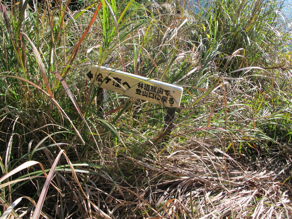 a0166196_11152937.jpg