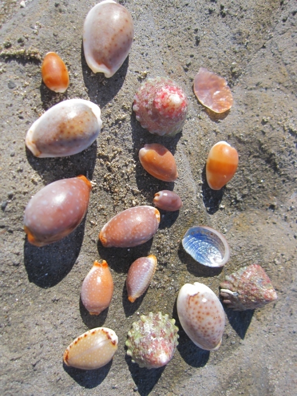 c0204298_23133325.jpg