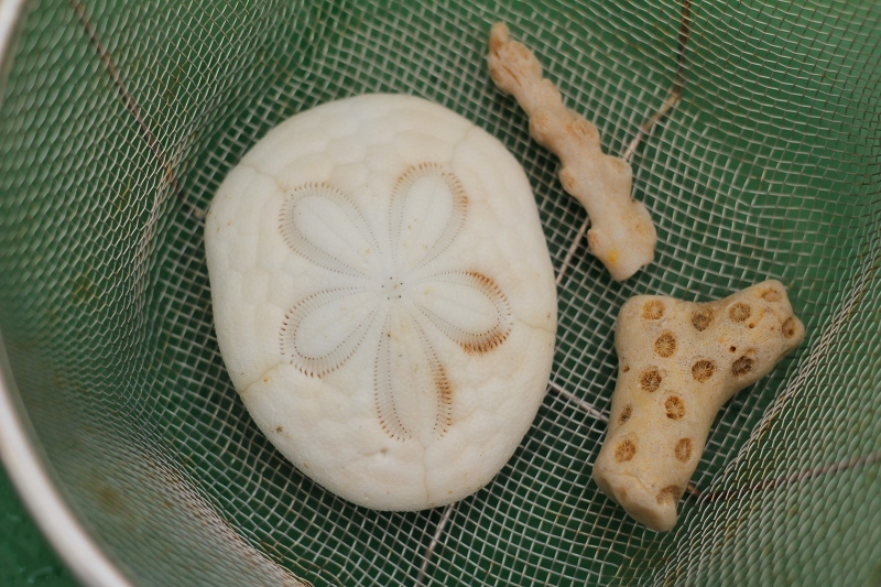 c0204298_23280673.jpg