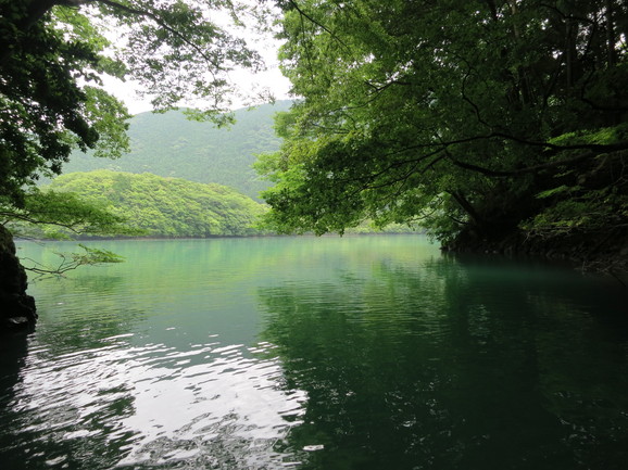 e0167411_12183825.jpg