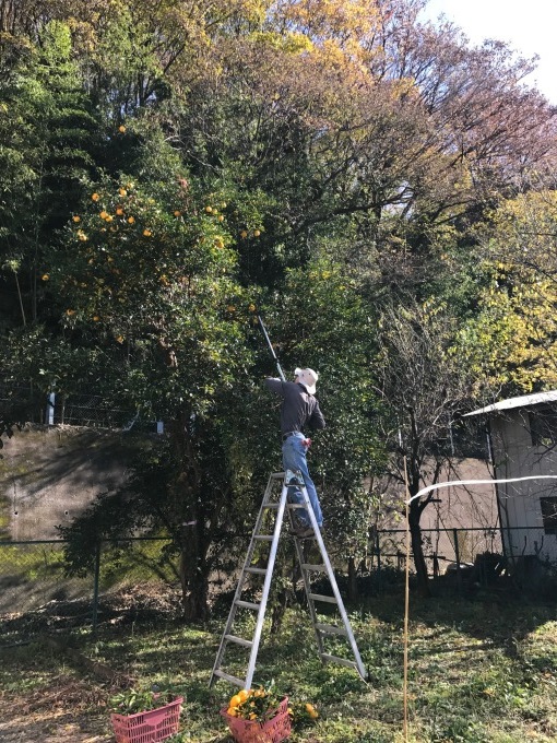 e0363513_13012342.jpg