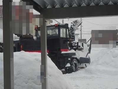 ２日間に分けての排雪と老いて行く愛犬_f0328313_13351491.jpg