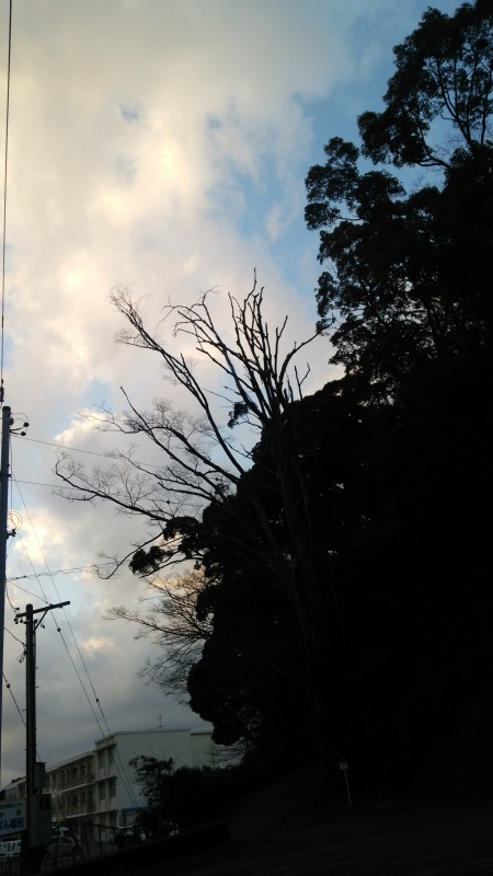 e0342314_23221201.jpg