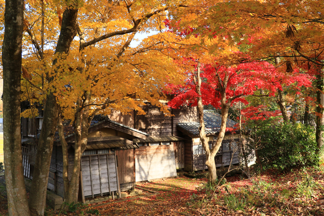 諸橋轍次博士の生家_f0373317_10143888.jpg