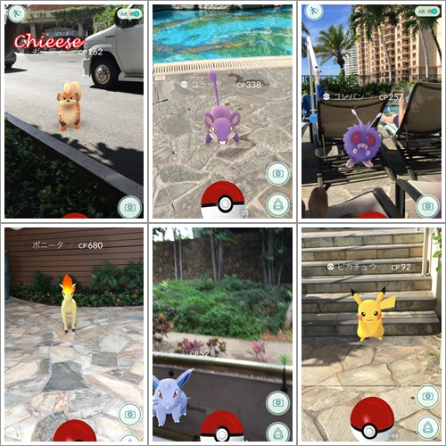 ハワイでポケモンgo Chieese Diary