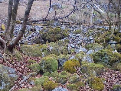 オコバ谷～上福根～岩宇土山周回_f0193521_4184379.jpg