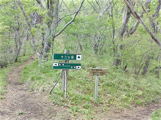 群馬の駅からハイク vol.1 ： 渋川市小野子  小粒でも登りがいたっぷりの小野子三山　　　　　Mount Onoko in Shibukawa, Gunma_f0308721_185284.jpg