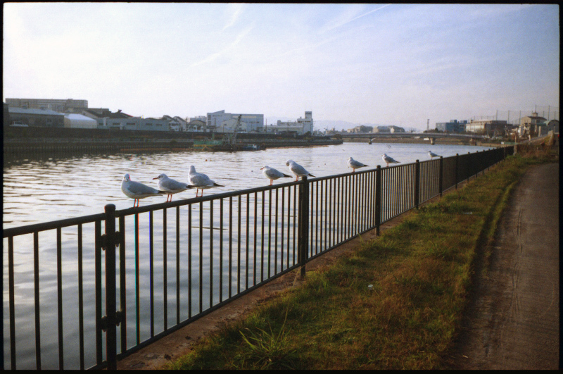 c0176622_18354301.jpg
