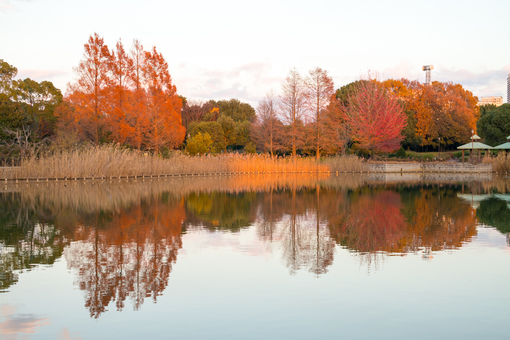 柏の葉公園_d0161322_22504788.jpg