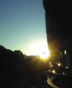 d0060425_1312738.jpg