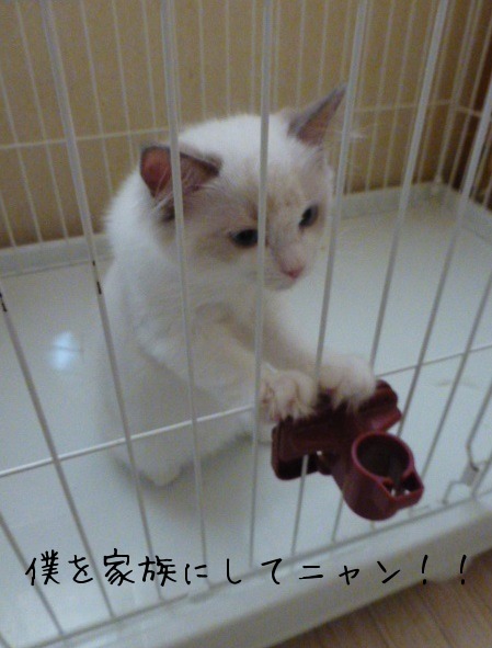 ご挨拶_e0237625_13383981.jpg