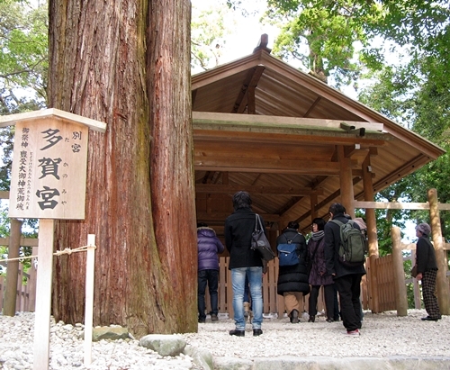 初詣_f0129726_20571062.jpg
