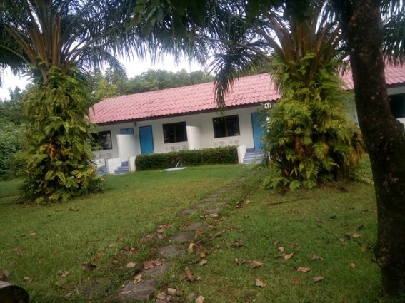 a0083429_23354199.jpg