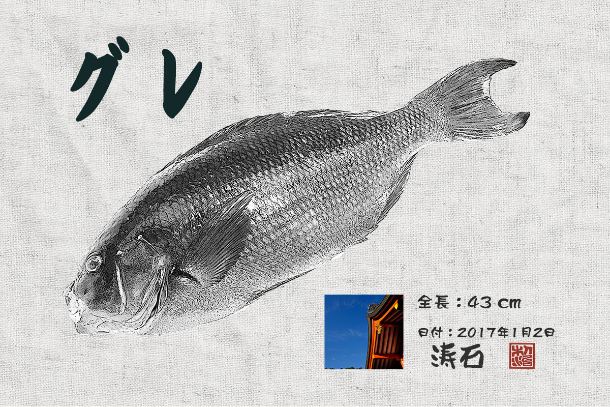 初物2つ_c0211429_20211550.jpg