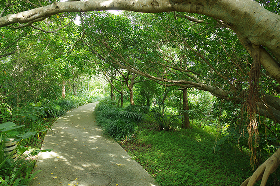 b0351835_1626420.jpg