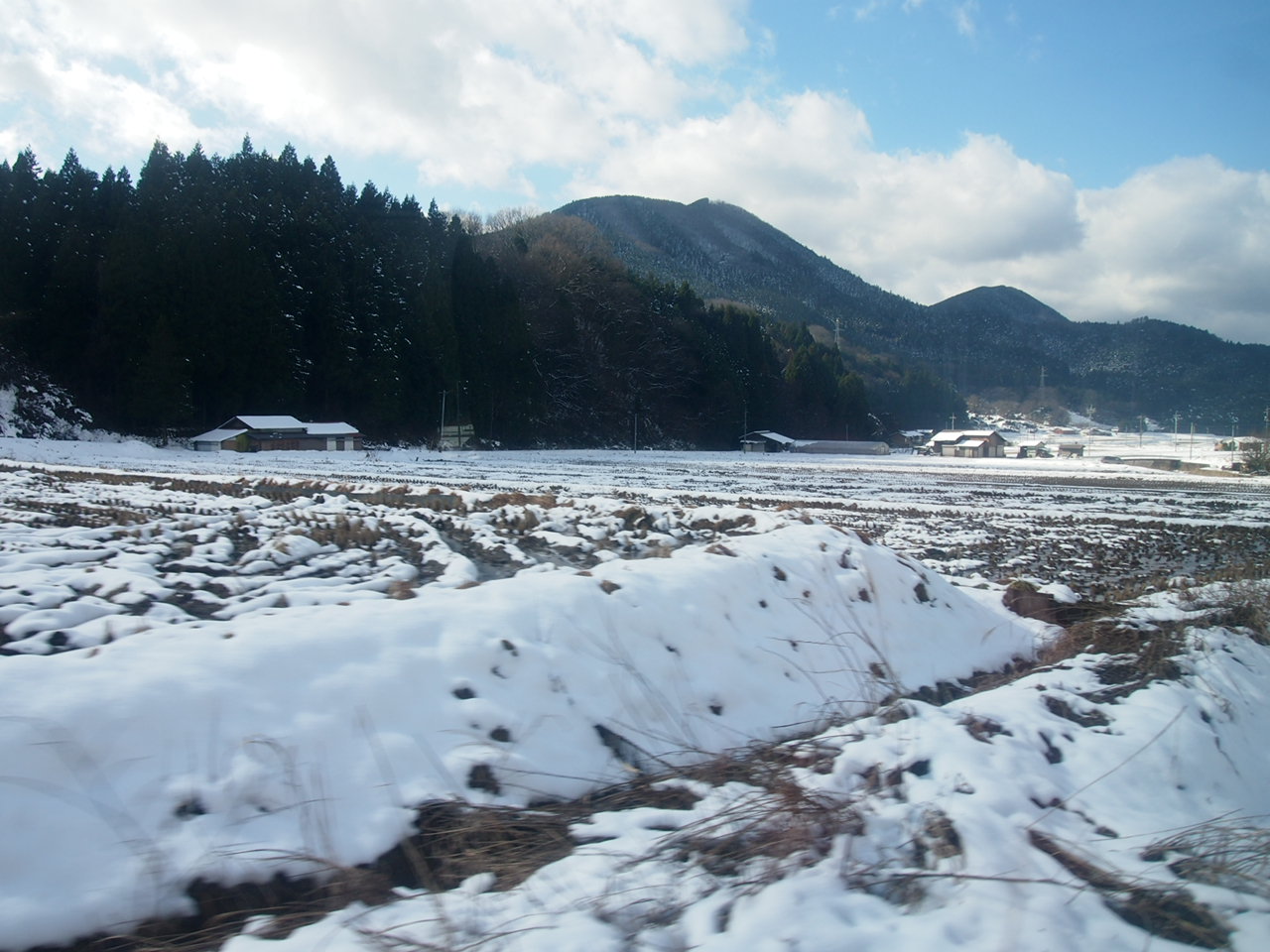 d0024438_9481246.jpg