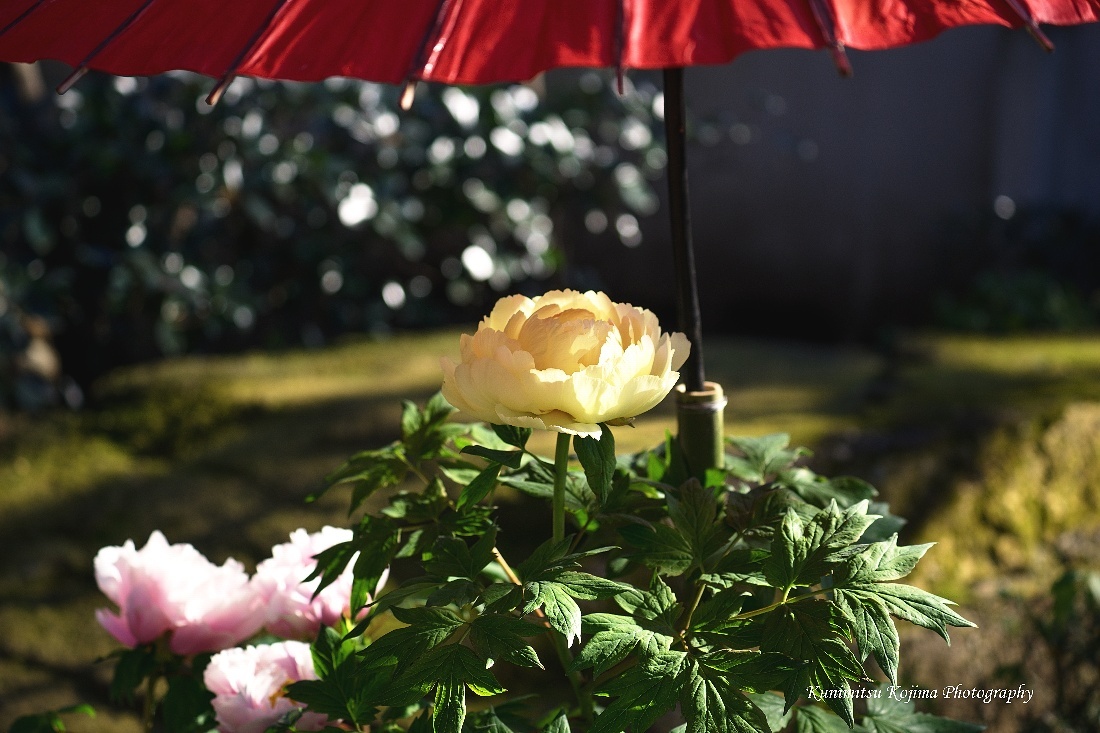 c0236843_13451774.jpg
