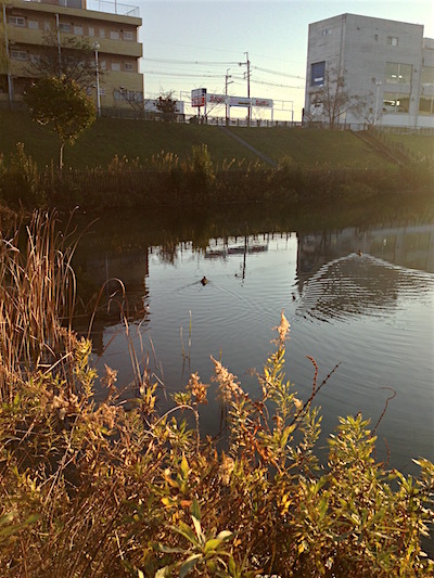 c0227245_23211503.jpg