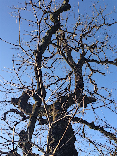 c0227245_23212298.jpg