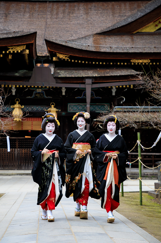新年の挨拶回り 上七軒 勝也さん 勝音さん 勝奈さん 写真部門 花景色 K W C Photoblog 新年の挨拶回り 上七軒 勝也さん 勝音さん 勝奈さん 写真部門 花景色 K W C Photoblog