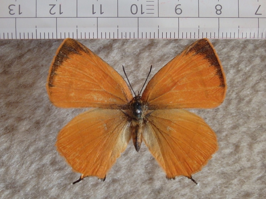 a0235150_8164734.jpg